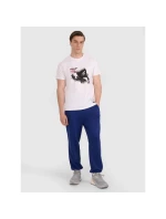 Pánské volejbalové tričko s potiskem model 21756914 - 4F Pánské volejbalové tričko s potiskem model 21756914 - 4F