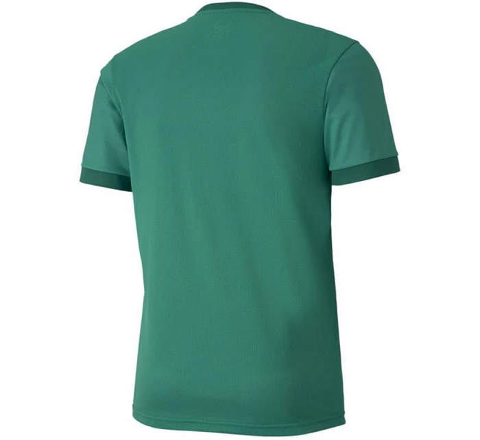 Puma teamGOAL 23 Jersey M 704171 05 pánské dresy