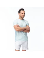 Pánské tričko s krátkým rukávem model 21357288 - Fitanu