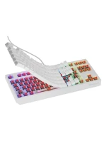 model 21716571 230 TKL Herní klávesnice USB QWERTY US English White - Genesis model 21716571 230 TKL Herní klávesnice USB QWERTY US English White - Genesis