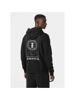 Core Graphic Sweat Hoodie M model 20246960 - Helly Hansen Core Graphic Sweat Hoodie M model 20246960 - Helly Hansen