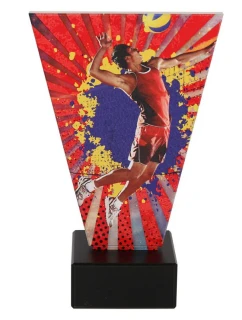 Volejbalová model 21363933