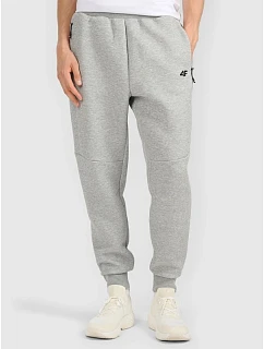 Pánské tepláky typu jogger model 22073478 - 4F