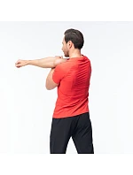 Pánské tričko model 22098410 s krátkým rukávem - IQ Pánské tričko model 22098410 s krátkým rukávem - IQ