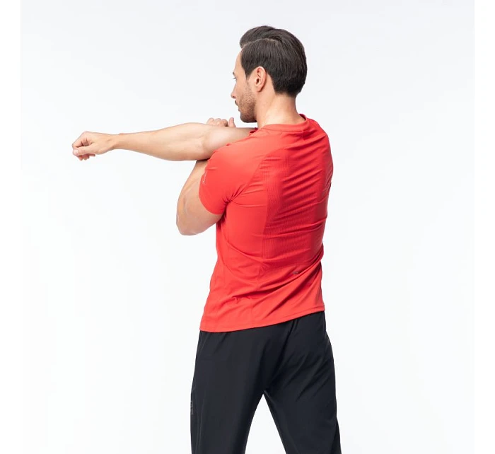 Pánské tričko model 22098410 s krátkým rukávem - IQ Pánské tričko model 22098410 s krátkým rukávem - IQ