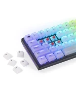 RGB 115 model 21491622 - Glorious