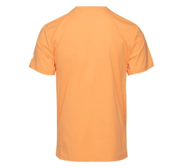 Tričko Fitanu Flavion M 92800617843