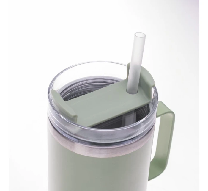 model 21354940 - Iguana