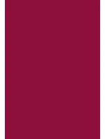 Dámské ponožky 073 - Steven Dámské ponožky 073 - Steven