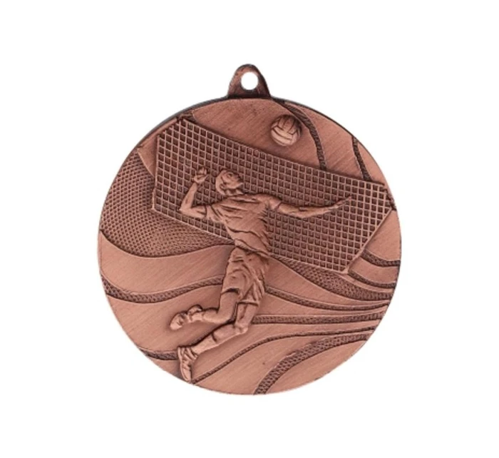 bronzová medaile - volejbal