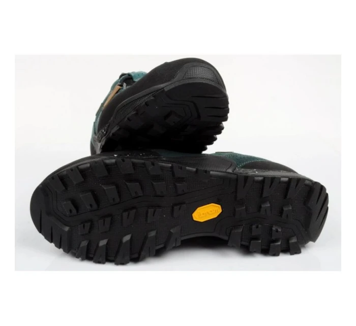 Trekové boty Aku Nativa GTX W 629676