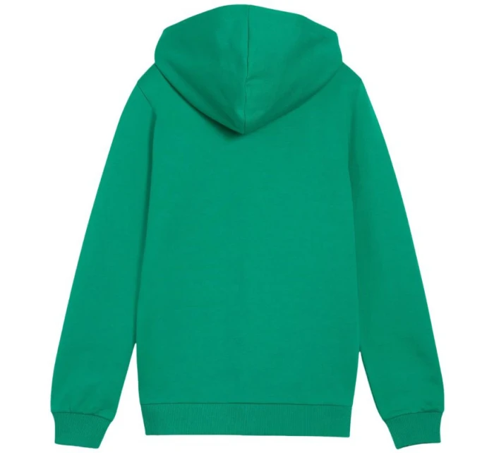 Dětská mikina teamGoal Casuals s kapucí zelená model 21720690 05 - Puma