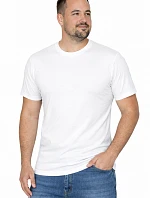 Pánské tričko Heavy 21172-20-3XL