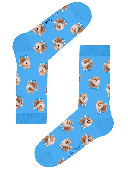 Dámské ponožky John Frank WJFLSFUN66