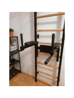 GYMNASTICKÝ ŽEBŘÍK S TYČÍ A MADLEM PRO CVIČENÍ NA LAVIČCE 722B