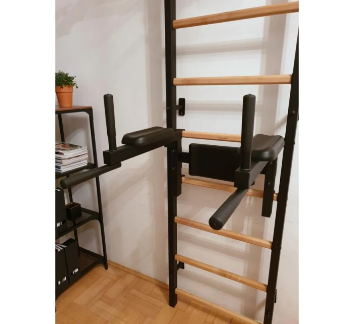 GYMNASTICKÝ ŽEBŘÍK S TYČÍ A MADLEM PRO CVIČENÍ NA LAVIČCE 722B