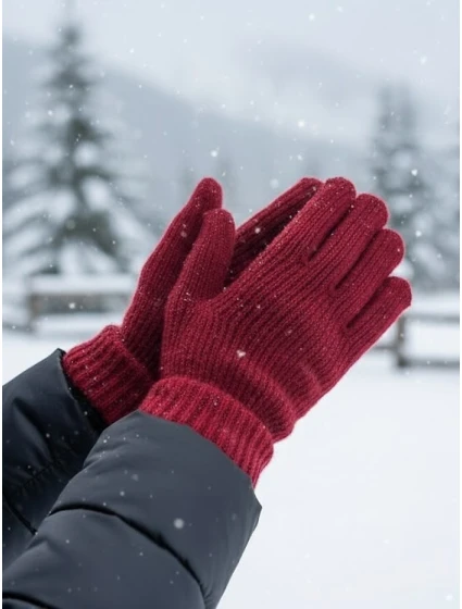 Rukavice model 21725631 - Moraj Rukavice model 21725631 - Moraj