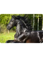 Esperanza Foto Mix podložka pod myš EA133