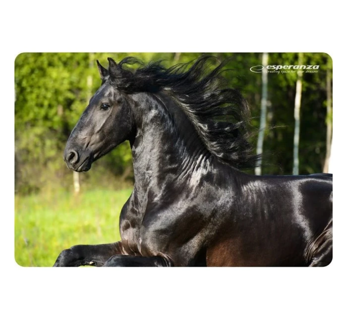 Esperanza Foto Mix podložka pod myš EA133