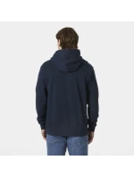 Helly Hansen Core Graphic Sweat Hoodie M 53924 596 Helly Hansen Core Graphic Sweat Hoodie M 53924 596