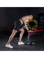 2 x 10 kg činky v model 21332637 - HMS