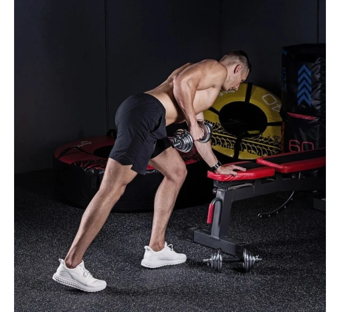 2 x 10 kg činky v model 21332637 - HMS