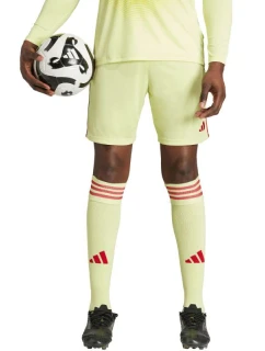 Pánské šortky adidas Tiro 24 žluto-červené JI6090