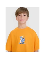 Chlapecké tričko s potiskem 4F 4FJRSS25TTSHM2641-70S