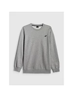 Pánská mikina z fleece, regular střih, bez kapuce, 4F 4FRMM00TSWSM3059-27M