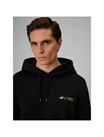 Bluza regular z kapturem męska |  pánské model 22551937 - 4F
