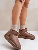 Dámské Sněhule Na Platformě D.Franklin DFSH370010 Taupe