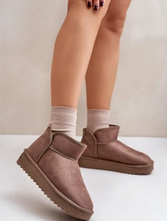 Dámské Sněhule Na Platformě model 21677079 Taupe - D.Franklin