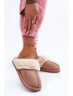 Dámské Pantofle s Kožíškem model 21631458 - Boto Dámské Pantofle s Kožíškem model 21631458 - Boto