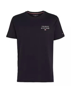 Pánská trička CN SS TEE LOGO UM0UM02916DW5 - Tommy Hilfiger