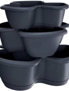 DONICZKA - dětské model 21831711