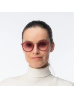 model 21358183 - Iguana