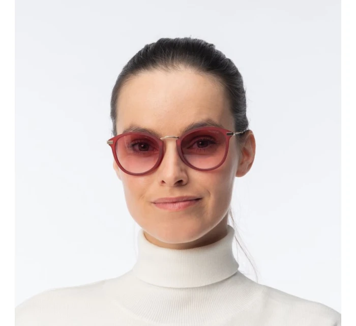 model 21358183 - Iguana