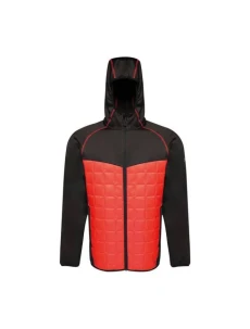 Pánská modulární termobunda Regatta M TRA517 92F