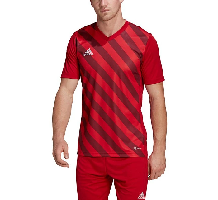 Pánský dres Entrada 22 Graphic Jersey M HB0572 - Adidas