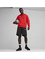 Pánské tričko Puma Team Goal Casuals Hooded M 658595 01