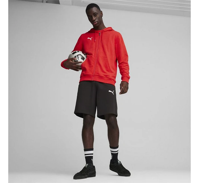 Pánské tričko Puma Team Goal Casuals Hooded M 658595 01