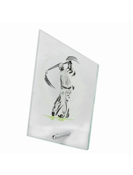 Triumph model 21363636 - Tryumf