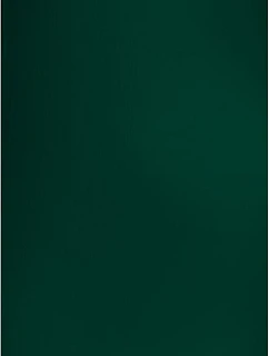 Recycled 100 Plážový ručník "Recycled" model 22527330 bottle green - The One Towelling