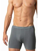 Pánské boxerky model 21015701 019 M2XL - Key Pánské boxerky model 21015701 019 M2XL - Key