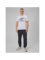 Pánské tričko s potiskem 4F model 22088498 - Hikvision