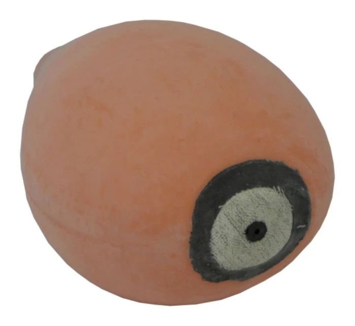 SP - na míč s model 21347064 SP - na míč s model 21347064