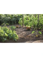 PODPĚRY PRO ROSTLINY PODPĚRY PRO KVĚTINY ROZMĚRY ŠÍŘKA 25 A 35 CM ZELENÁ LESNÍ ZELENÁ