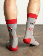 Ponožky WS SR model 14827784 vícebarevné - FPrice