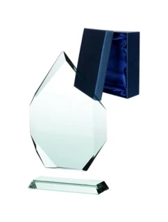 Skleněná trofej s matným podstavcem a pouzdrem