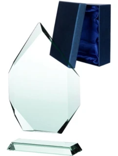 Skleněná trofej s matným podstavcem a pouzdrem